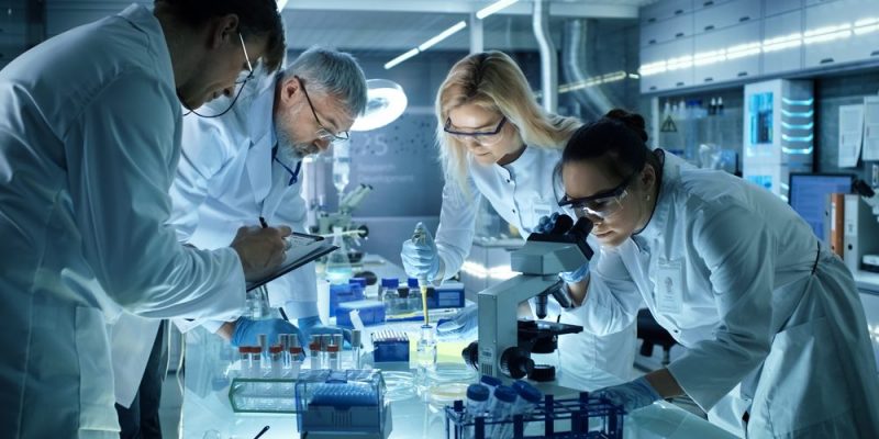 científicos analizan resultados