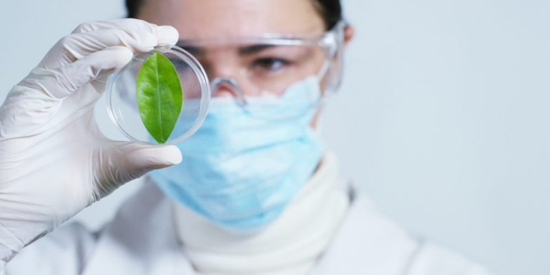 Una científica observa una muestra.