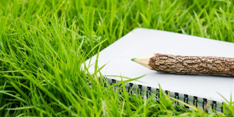 celulosa papel madera plantas