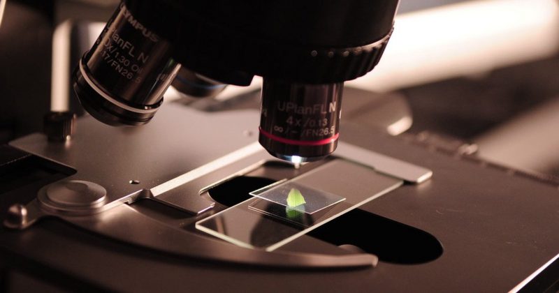 Se examina un objeto en un microscopio.