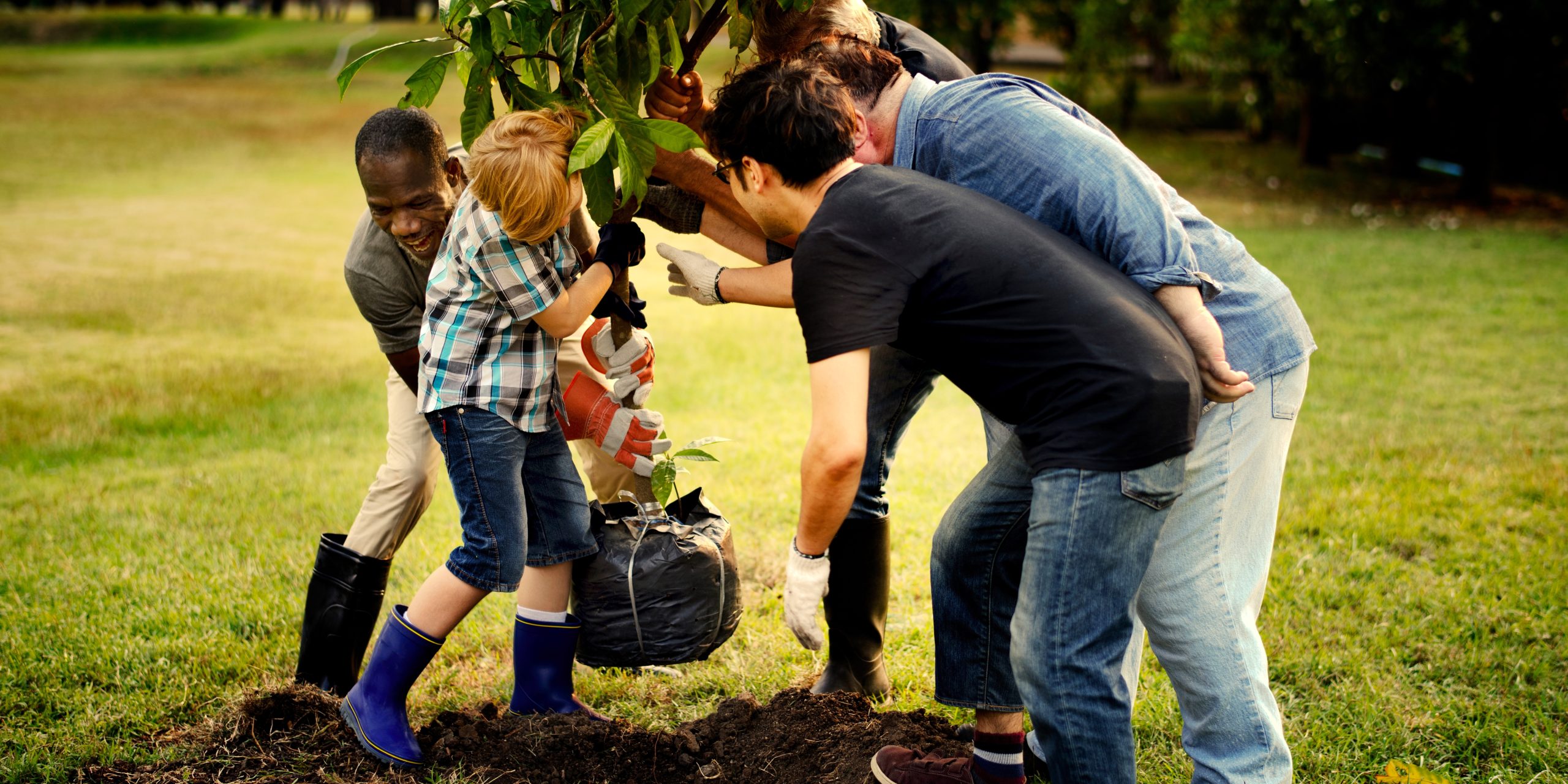 un grupo de personas colabora para plantar un árbol