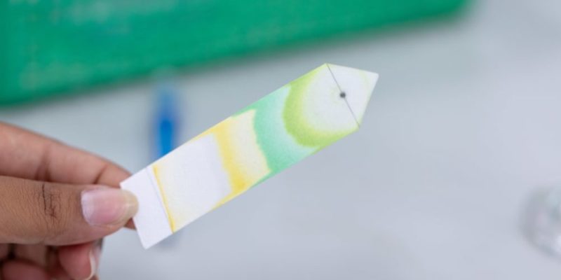 cromatografia separacion de mezclas