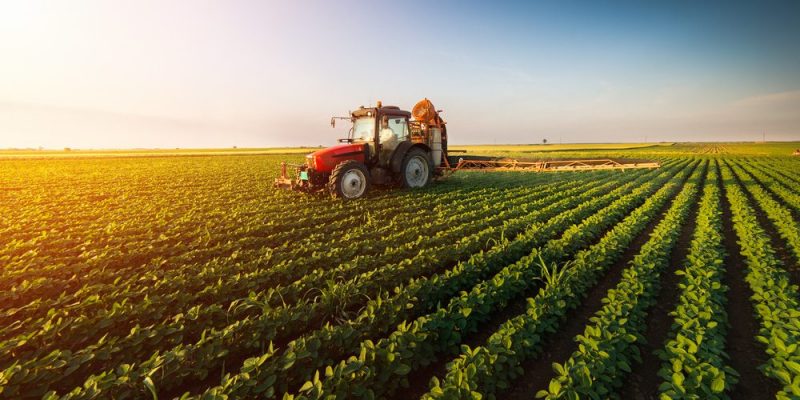 agrario- vida de campo