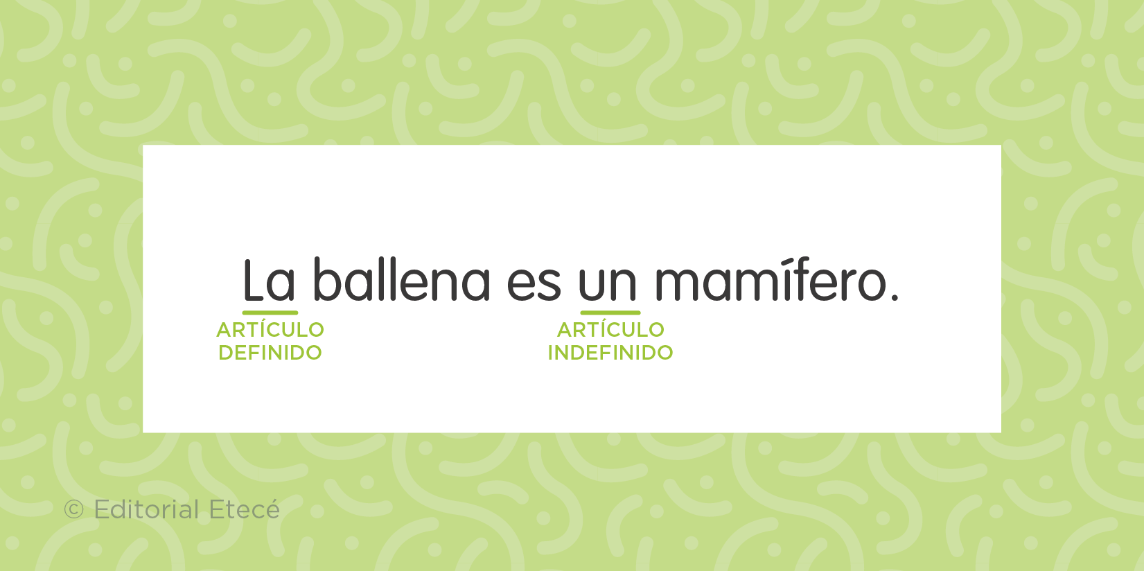 Artículos definidos e indefinidos señalados en una oración.